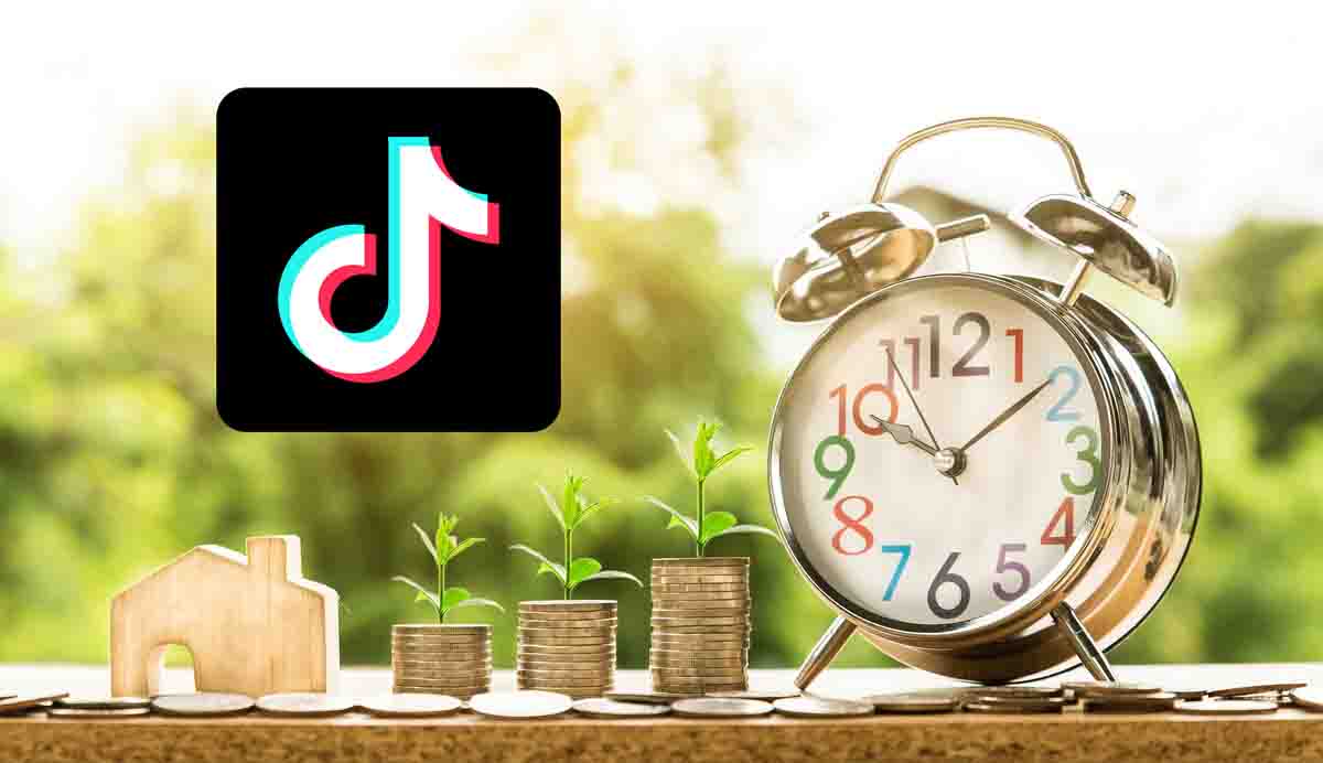 Tiktok 影响力、坦佩雷房地产和学校开学